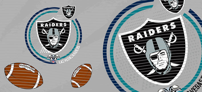 16oz team-NFL 2967
